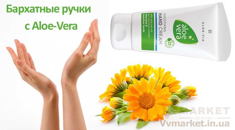 Купить Алоэ Вера Крем для рук (Aloe Vera Hand Cream), 75 мл, LR с доставкой Киев, Авдеевка, Акимовка, Александрия, Александровка, Александровка, Алупка, Алушта,   Алчевск, Амвросиевка, Антрацит, Апостолово, Арбузинка, Армянск, Артемовск, Арциз, Ахтырка, Балаклея, Балта, Бар, Барановка, Барвенково, Барышевка,   Бахмач, Бахчисарай, Баштанка, Белая Церковь, Белгород-Днестровский, Беловодск, Белогорск, Белогорье, Белозерка, Белополье, Беляевка, Бердичев,   Бердянск, Берегово, Бережаны, Березанка, Березино, Березовка, Берислав, Бершадь, Близнюки, Бобринец, Бобровица, Богодухов, Богуслав, Болград,   Болехов, Борзна, Борислав, Борисполь, Боровая, Бородянка, Борщев, Боярка, Бровары, Броды, Брусилов, Брянка, Бузуков, Бурштын, Бурынь, Буск, Бучач,   Валки, Варва, Васильевка, Васильков, Васильковка, Великая Белозерка, Великая Новоселка, Верхнеднепровск, Верхов, Верховина, Веселиново, Веселое,   Вижница, Винница, Виноградов, Виньковцы, Вишневое, Владимир-Волынский, Владимирец, Вознесенск, Волноваха, Воловец, Володарка, Володарское,   Волочиск, Волчанск, Вольногорск, Вольнянск, Врадиевка, Высокополье, Вышгород, Гадяч, Гайворон, Гайсин, Галич, Гаспра, Геническ, Герца, Глеваха,   Глобино, Глухов, Глыбокая, Голая Пристань, Голованевск, Горловка, Горностаевка, Городенка, Городище, Городня, Городок, Горохов, Гоща, Гребенка,   Гуляйполе, Гурзуф, Гусятин, Двуречная, Дебальцево, Демидовка, Деражня, Дергачи, Джанкой, Дзержинск, Диканька, Днепродзержинск, Днепропетровск,   Днепрорудное, Доброполье, Добрянка, Докучаевск, Долина, Долинская, Доманевка, Донецк, Драбов, Дрогобыч, Дружковка, Дубно, Дубровица, Дунаевцы,   Евпатория, Еланец, Емильчино, Енакиево, Жашков, Желтые Воды, Жидачев, Житомир, Жмеринка, Жолква, Залещики, Запорожье, Заречное, Заставна,   Зачепиловка, Збараж, Зборов, Звенигородка, Згуровка, Здолбунов, Зеньков, Змиев, Знаменка, Золотоноша, Золочев, Ивано-Франковск, Ивановка, Иванычи,   Измаил, Изюм, Изяслав, Илларионово, Ильинцы, Ильичевск, Ирпень, Иршава, Ичня, Кагарлык, Казанка, Казатин, Каланчак, Калиновка, Калуш, Каменец-  Подольский, Каменка, Каменка-Бугская, Каменка-Днепровская, Камень-Каширский, Канев, Карловка, Катеринополь, Каховка, Кегичевка, Кельменцы, Керчь,   Киверцы, Киев, Килия, Кировоград, Кировск, Кировское, Кицмань, Кобеляки, Ковель, Кодыма, Козелец, Козельщина, Козова, Козятин, Коломак, Коломыя,   Компанеевка, Комсомольск, Конотоп, Константиновка, Кореиз, Корец, Короп, Коростень, Коростышев, Корсунь-Шевченковский, Корюковка, Косов,   Костополь, Котельва, Котовск, Краматорск, Красилов, Красноармейск, Красноград, Краснодон, Краснокутск, Красноперекопск, Краснополье, Красные Окны,   Красный Лиман, Красный Луч, Кременчуг, Кривой Рог, Куйбышево, Кулиничи, Купянск, Ладыжин, Лисичанск, Лозовая, Лопатин, Лохвица, Лубны, Луганск,   Луцк, Львов, Люботин, Макеевка, Мангуш, Марганец, Мариуполь, Марьинка, Мелитополь, Мена, Мерефа, Миргород, Михайловка, Млинов, Могилев-  Подольский, Молодецкое, Монастыриска, Монастырище, Моршин, Мостиска, Мукачево, Мурованые Куриловцы, Народичи, Недригайлов, Нежин, Немиров,   Нетишин, Нижние Серогозы, Николаев, Никополь, Новая Каховка, Новая Одесса, Новая Ушица, Новгород-Северский, Новгородка, Новоазовск, Новоайдар,   Новоархангельск, Нововолынск, Нововоронцовка, Новоград-Волынский, Новоднестровск, Новомиргород, Новомосковск, Новопсков, Новоселица,   Новотроицкое, Новоукраинка, Новояворовск, Новые Санжары, Новый Буг, Носовка, Обухов, Овидиополь, Овруч, Одесса, Онуфриевка, Оратов,   Орджоникидзе, Орехов, Оржица, Острог, Очаков, Павлоград, Первомайск, Первомайский, Первомайское, Перевальск, Перемышляны, Перечин, Переяслав-  Хмельницкий, Першотравенск, Першотравенск, Петрово, Петропавловка, Печенеги, Пирятин, Погребище, Подволочиск, Подгайцы, Полесское, Пологи,   Полонное, Полтава, Попасная, Попельня, Приазовское, Прилуки, Приморск, Пустомыты, Путивль, Путила, Пятихатки, Радехов, Радомышль, Радывылив,   Раздельная, Раздольное, Ракитное, Ратнов, Рахов, Репки, Решетиловка, Ровеньки, Ровно, Рогатин, Рожище, Рожнятов, Розовка, Романов, Ромны, Рубежное,   Ружин, Саврань, Садовое, Саки, Самбор, Сарата, Сарны, Сахновщина, Свалява, Сватово, Свердловск, Светловодск, Севастополь, Северодонецк, Селидово,   Семеновка, Семеновка, Середина-Буда, Симферополь, Синельниково, Скадовск, Сквира, Сколе, Славута, Славутич, Славяносербск, Славянск, Смела,   Снежное, Снигиревка, Снятин, Сокаль, Сокиряны, Соленое, Сосница, Сосновка, Софиевка, Ставище, Старая Выжевка, Старая Синява, Старобельск,   Старобешево, Старое село, Староконстантинов, Старый Самбор, Стаханов, Сторожинец, Стрый, Судак, Сумы, Счастье, Талалаевка, Тальное, Тараща,   Тарутино, Татарбунары, Тельманово, Теофиполь, Теплик, Теребовля, Терновка, Тернополь, Тетиев, Тлумач, Токмак, Томаковка, Томашполь, Торез,   Троицкое, Тростянец, Трускавец, Тульчин, Турийск, Турка,Тячев, Ужгород, Украинка, Ульяновка, Умань, Устиновка, Фастов, Феодосия, Фрунзовка,   Харцызск, Харьков, Херсон, Хмельник, Хмельницкий, Хорол, Хотин, Христиновка, Хуст, Харичанка, Цюрупинск, Олешки, Чаплинка, Чемеровцы,   Червоноармейск, Черноморск, Червоноград, Черкассы, Черневцы, Чернигов, Черниговка, Черновцы, Черногородка, Черняхов, Чортков, Чугуев, Чутово,   Шаргород, Шахтерск, Шацк, Шепетовка, Широкое, Ширяево, Шишаки, Шостка, Шпола, Шумск, Щорс, Энергодар, Южноукраинск, Южный, Яворов, Яготин,   Ялта, Ямполь, Яремча, Ярмолинцы, Ясиноватая, Украина, Россия, Казахстан